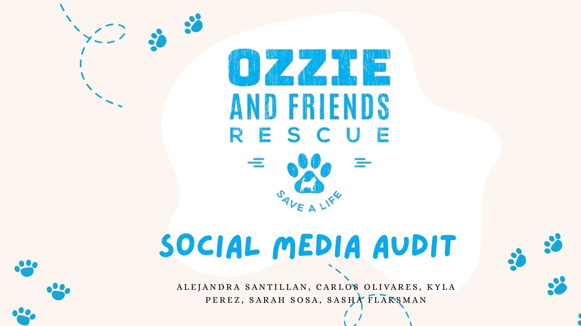 Social Media Audit – Ozzie and Friends Rescue