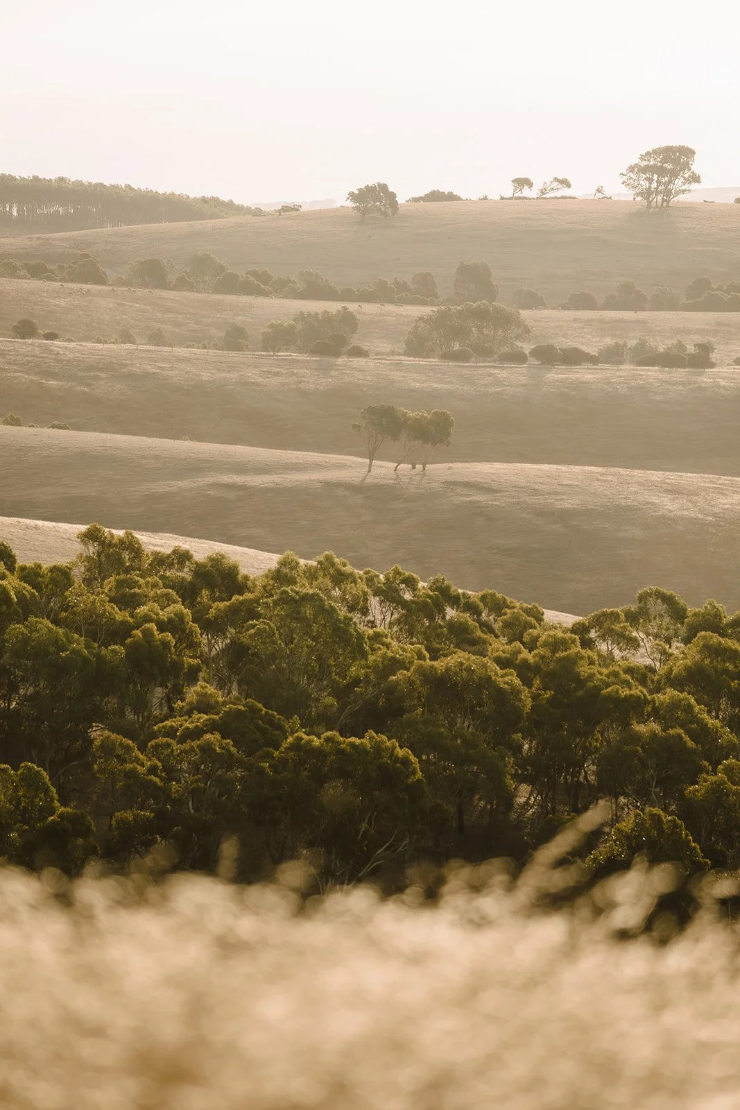 Fleurieu Hills