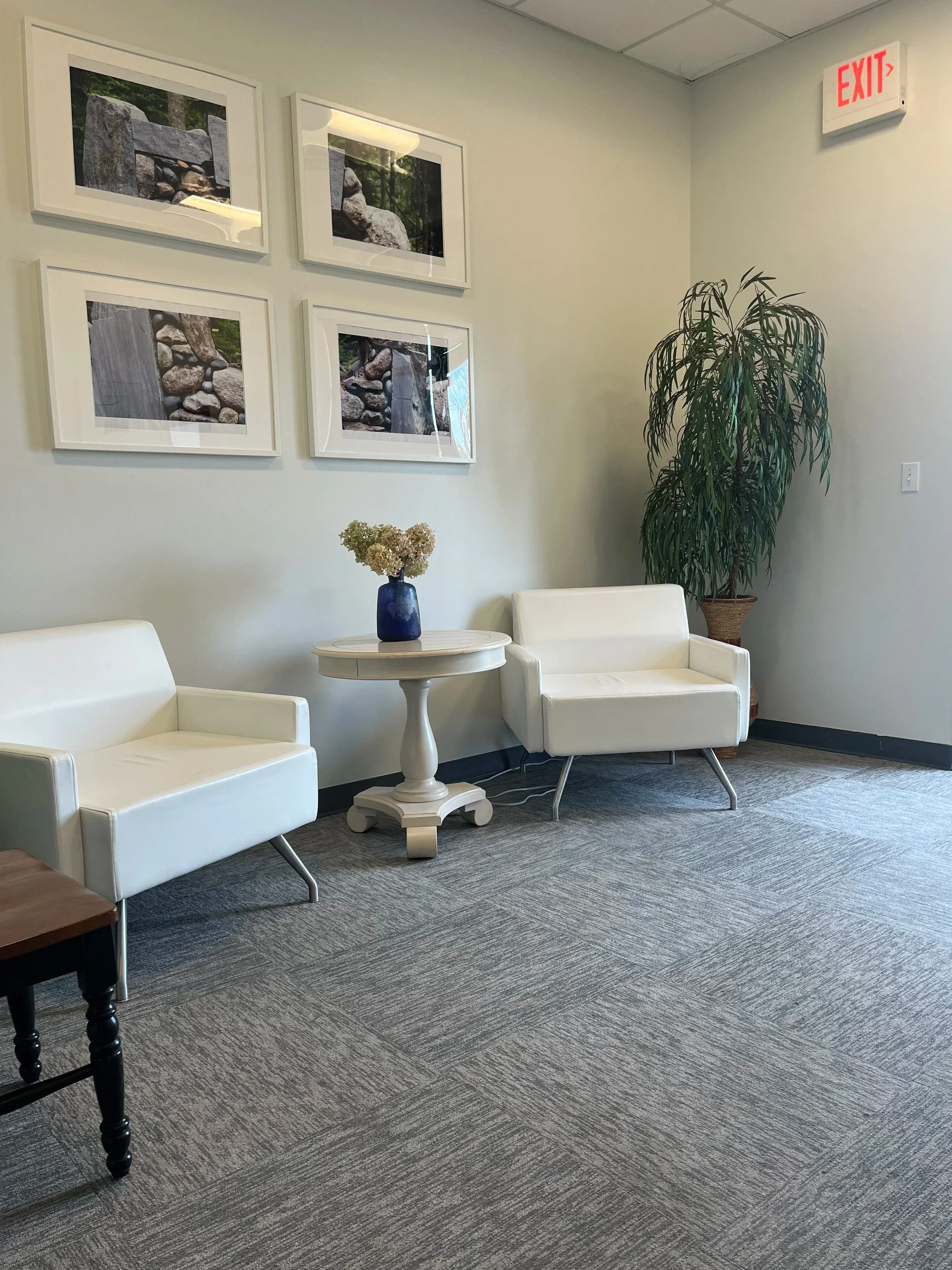 A relaxing waiting area of Mullica Hill Psychological Services with two white armchairs and a green plant in the corner.
