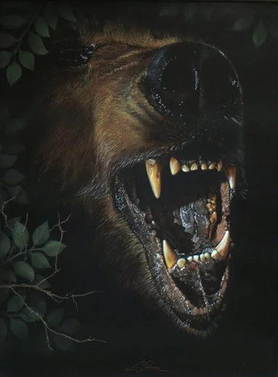 grizz-web-c600.jpg