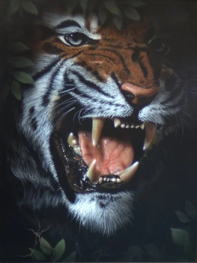 sherakaun-web-c600.jpg