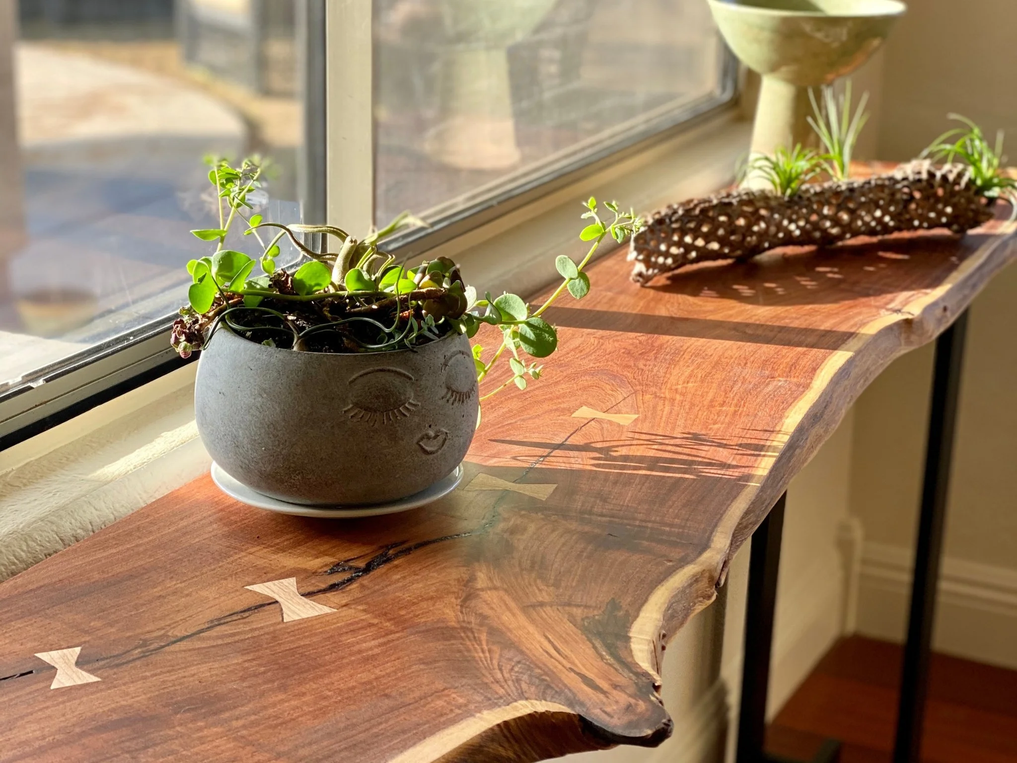 Potted plant with small green leaves on a wooden windowsill, with sunlight casting shadows, and decorative elements including a curved, natural edge wood board with inlay design and a plant in a patterned pot in the background.