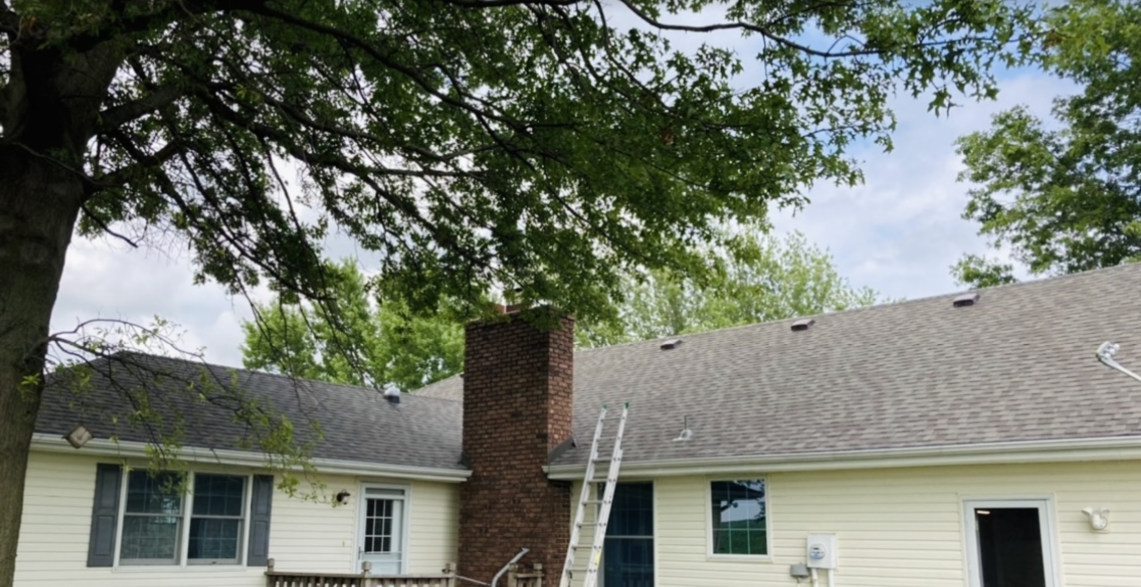 Backyard of a house with a sloped roof, chimney, trees, ladder, and outdoor lights.