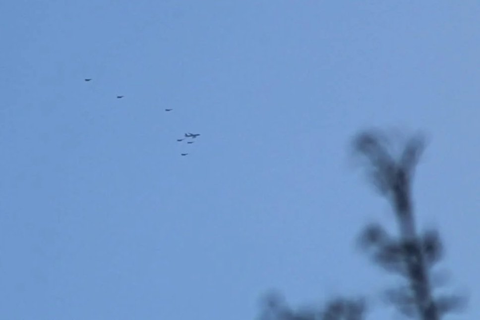 War Now Appears Imminent