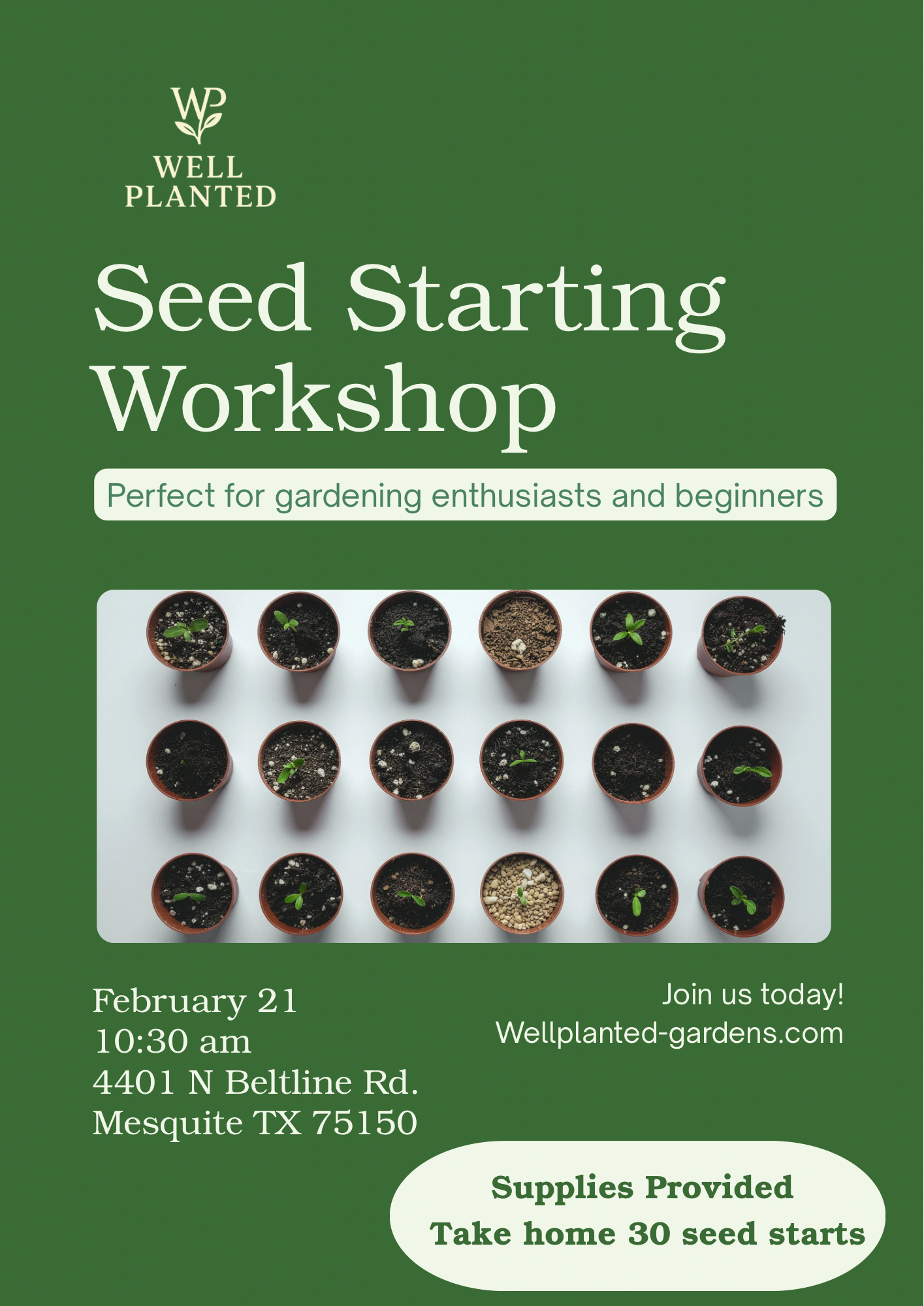 Seed Starting Success (Without Overwhelm)