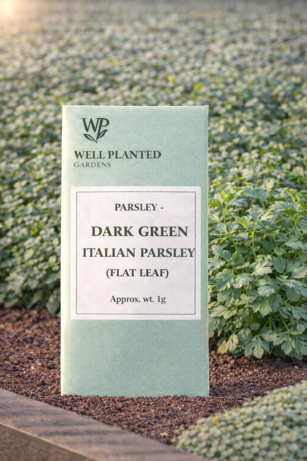 Italian Parsley- Dark Green (Flat Leaf)
