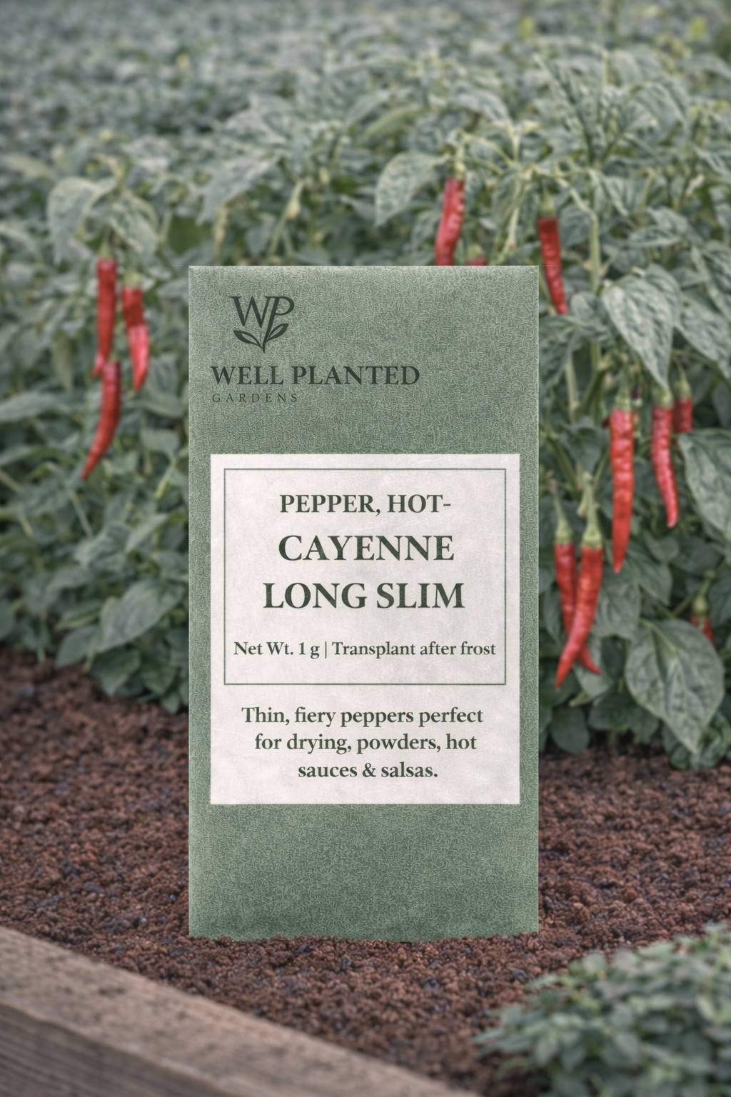 Hot Cayenne Long Slim Pepper