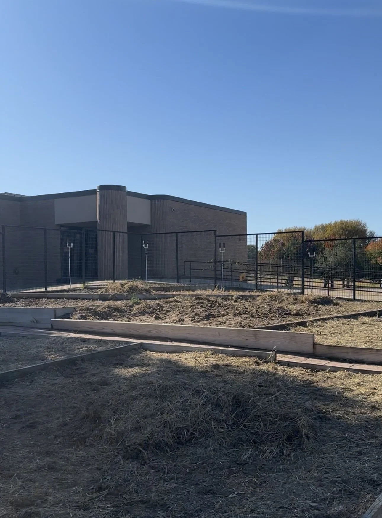 School playground fenced area with a building, trees in the background, and a clear blue sky.