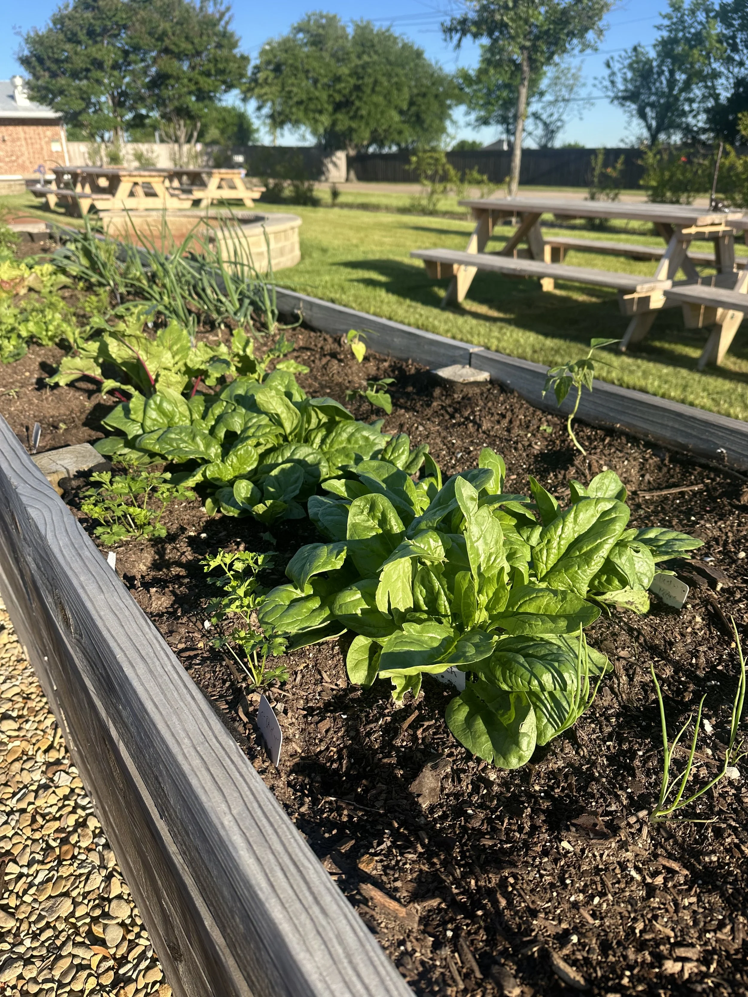 New Gardener Consultation