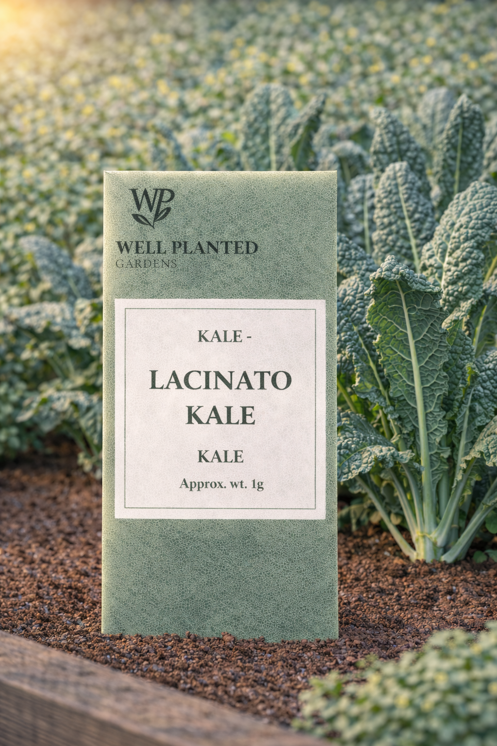 Kale- Lacinato