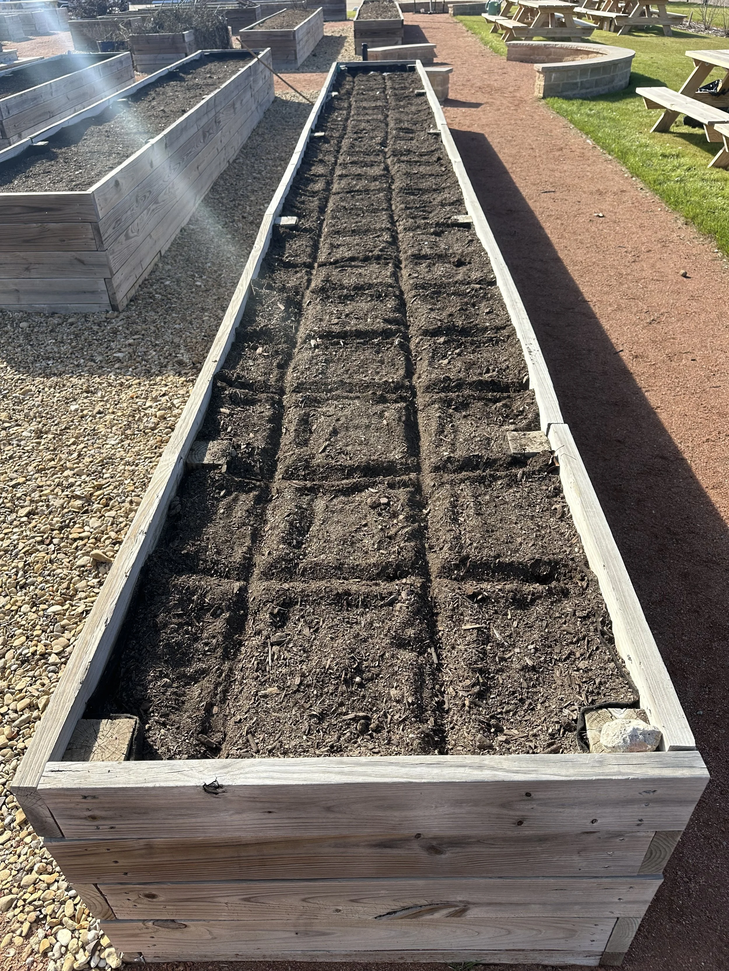 Garden Start Up Consultation