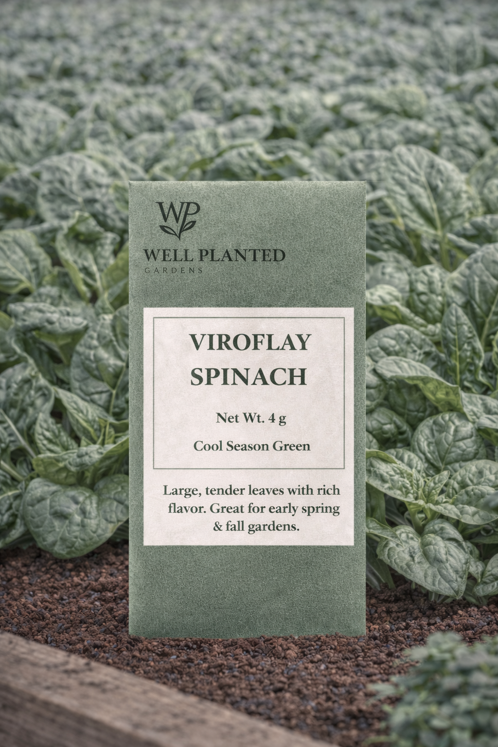 Spinach- Viroflay