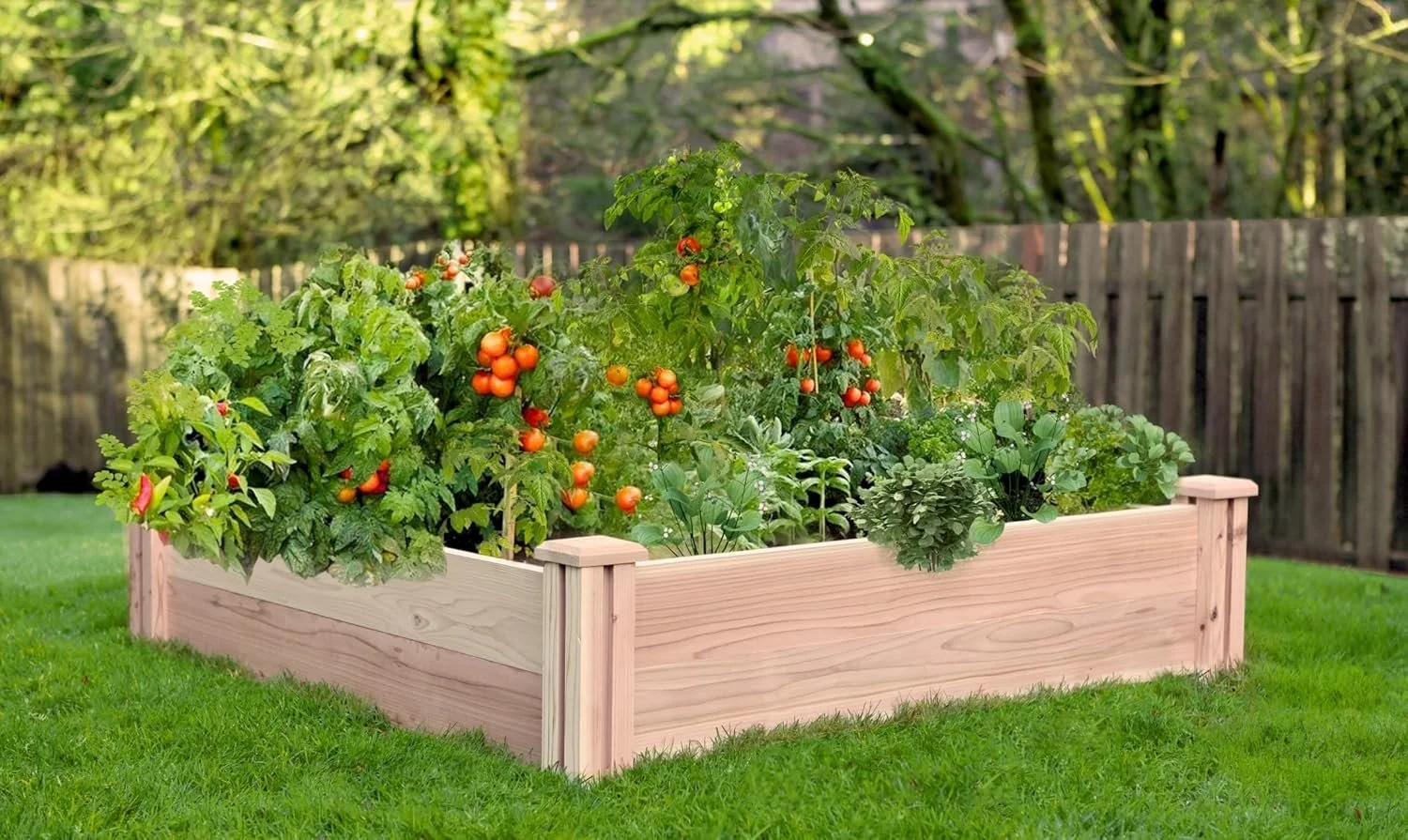 4x4 raised garden bed.jpg
