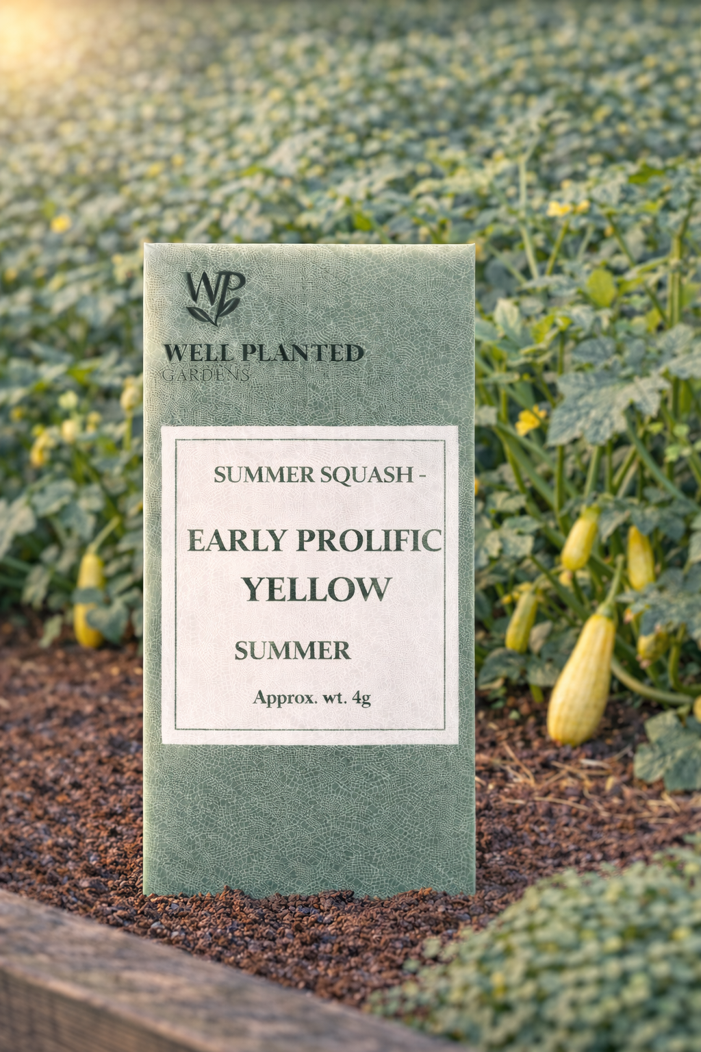 Squash- Early Prolific Straightneck