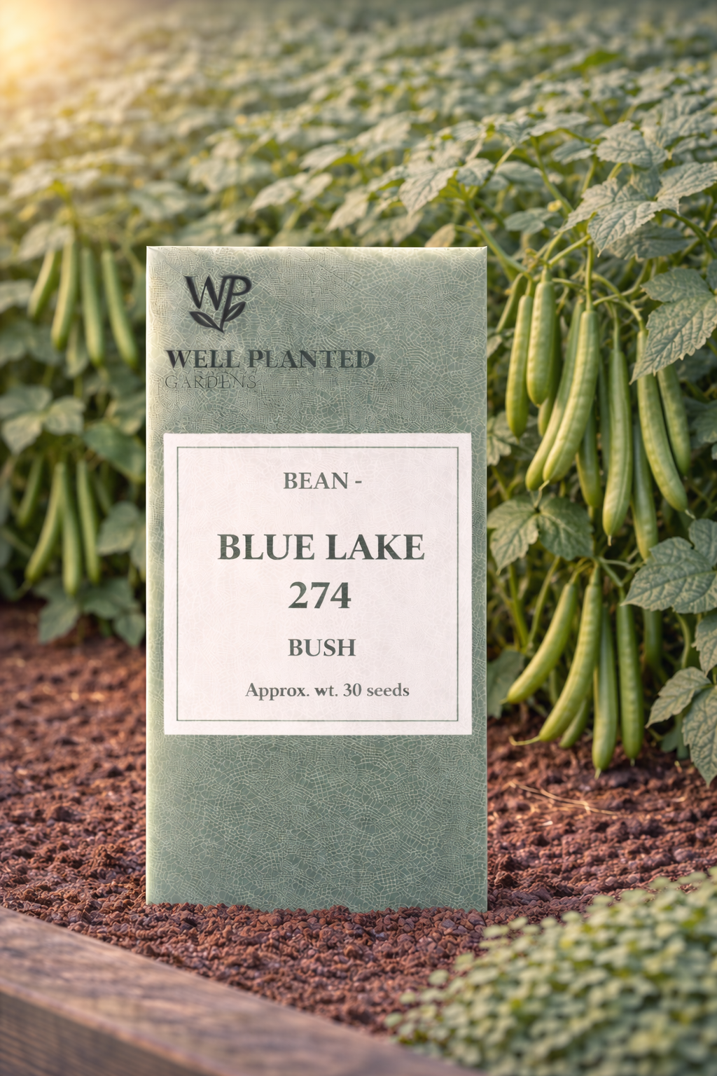 Bush Bean Blue Lake 274