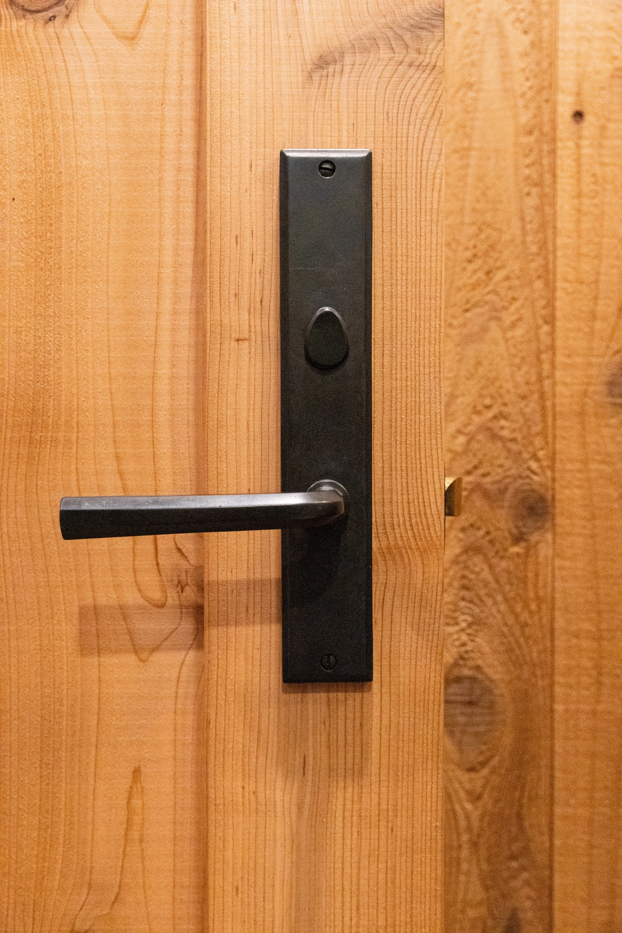 A black metal door handle and latch on a wooden door.