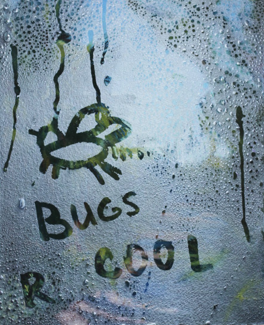 Bugs R Cool