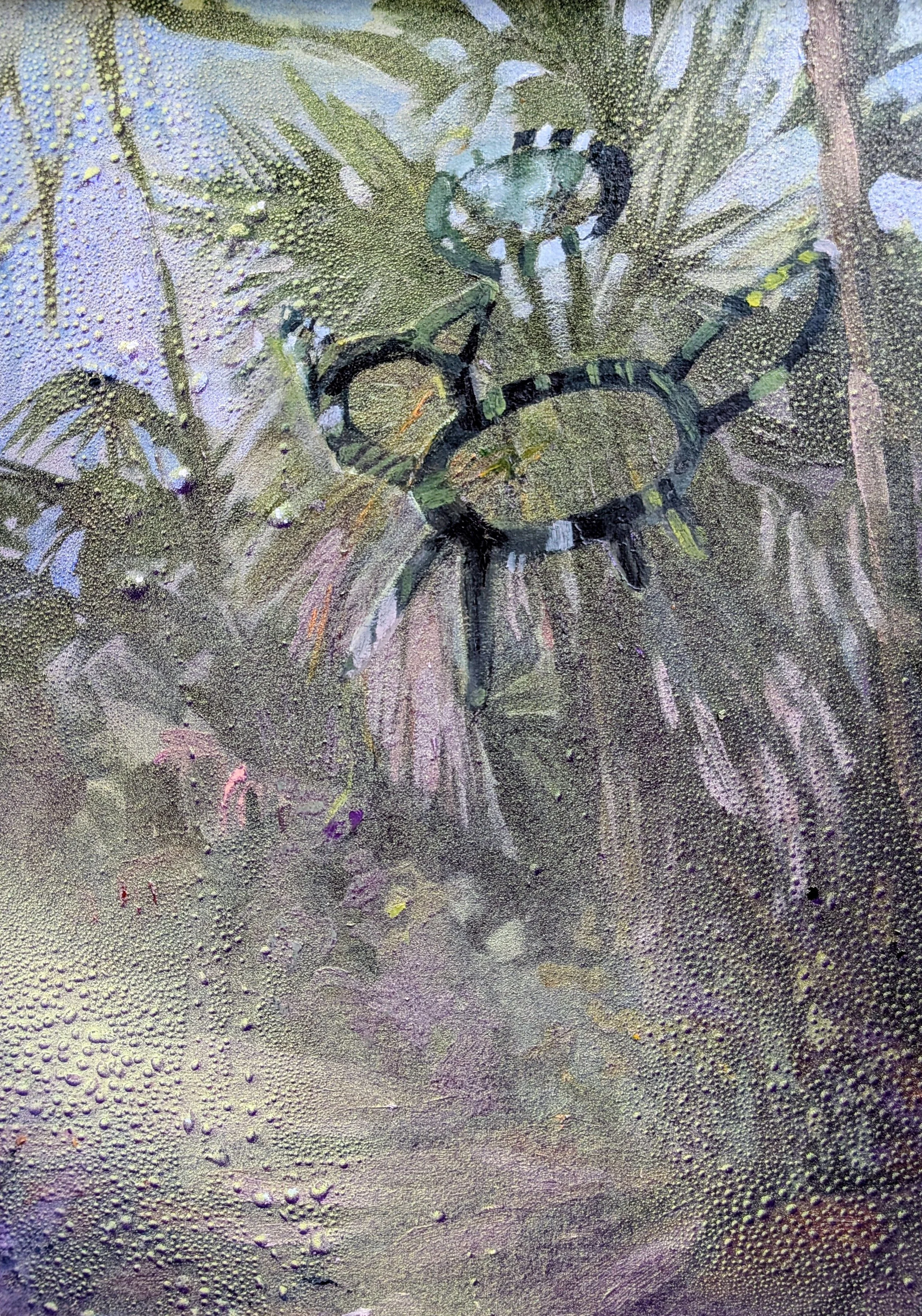Animal Doodle