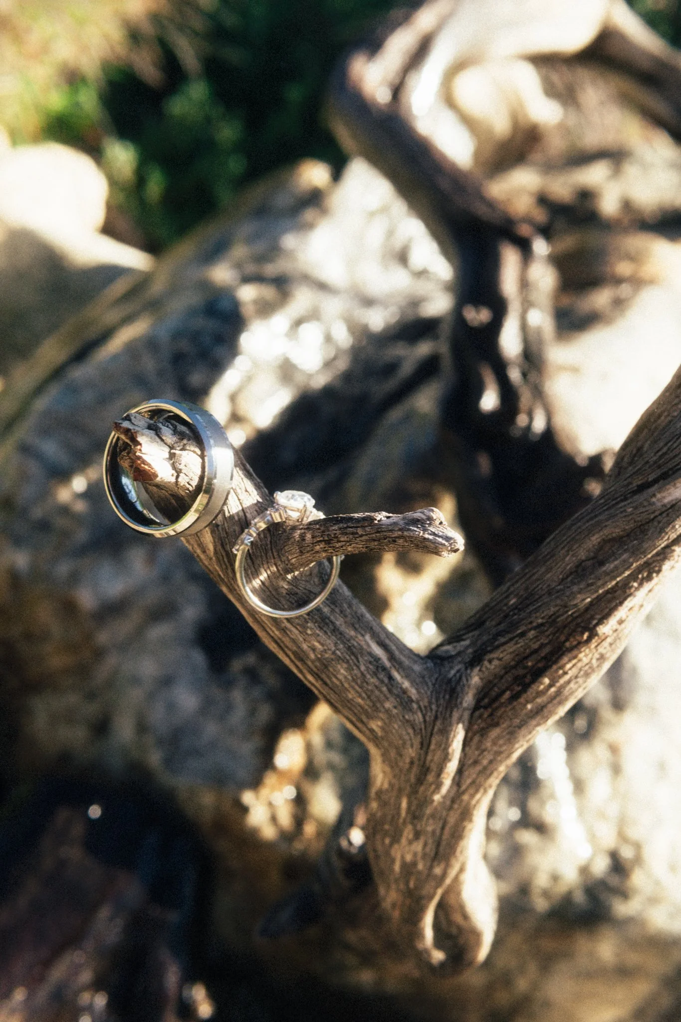 Leilah and Nathan Engagement-23.jpg