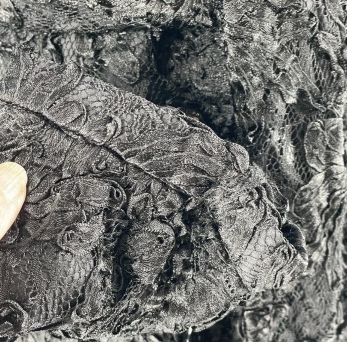 Screenshot 2026-02-08 at 8.27.13 AM.png