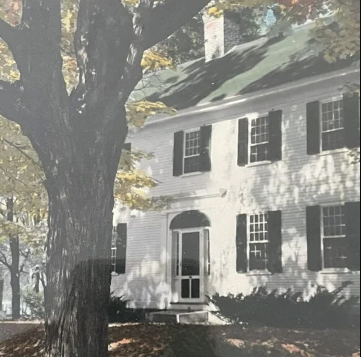 Screenshot 2026-02-08 at 8.15.38 AM.png