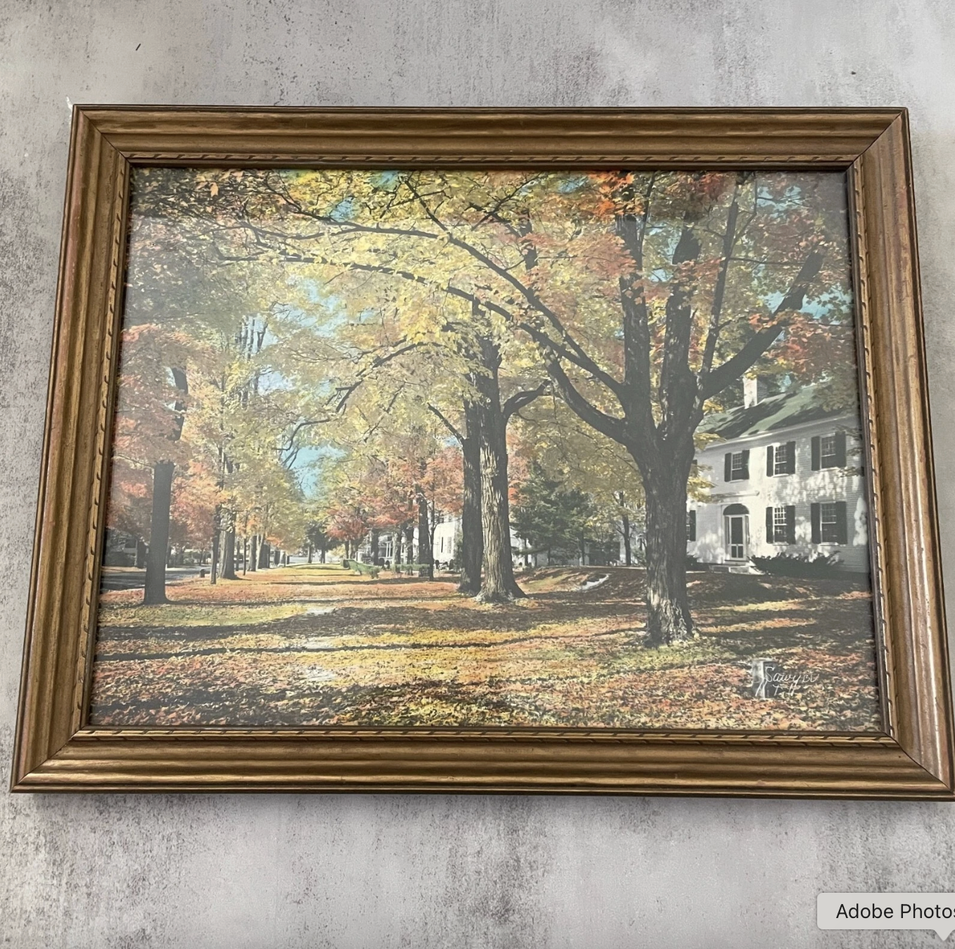 Charles Sawyer Vintage A Village Street Hand Colored Signed Framed Photograph