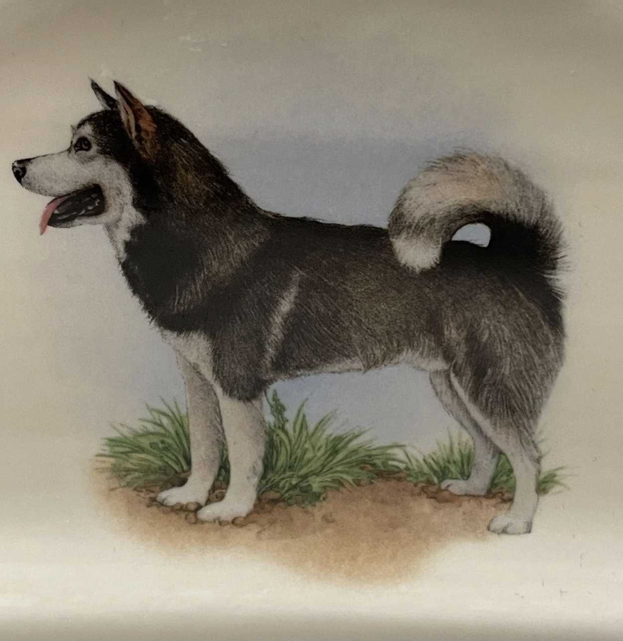 Screenshot 2026-02-09 at 6.53.13 AM.png