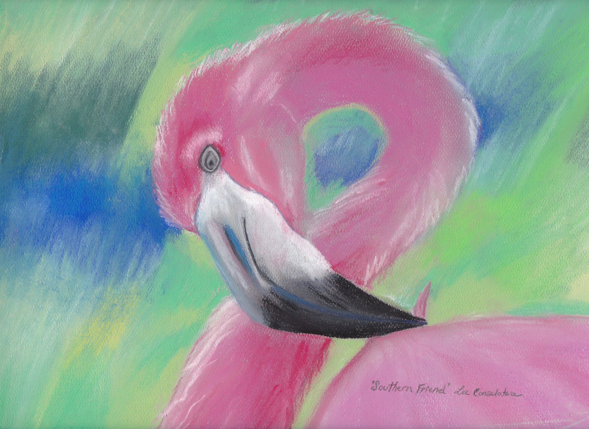 Southern Friend Low RES 8m.jpg