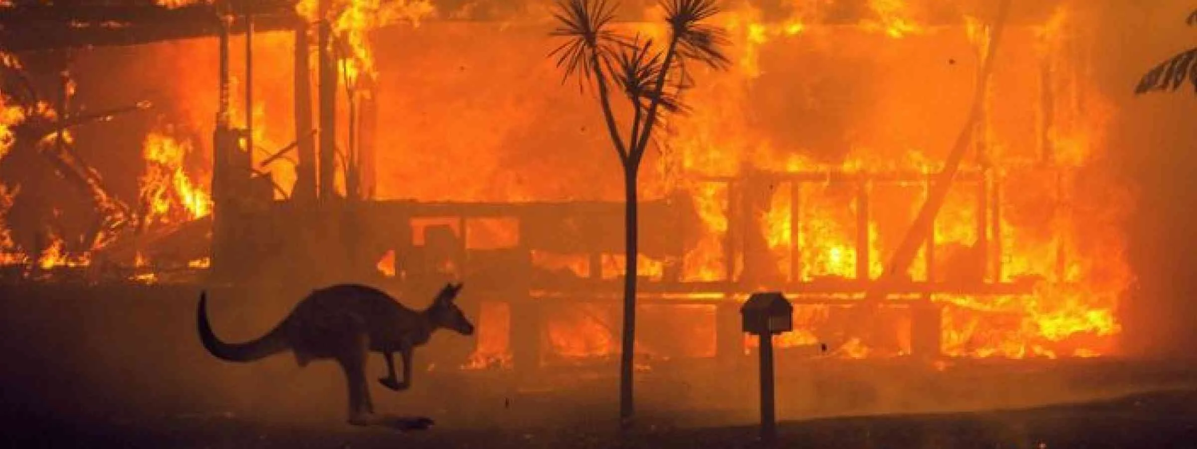 From Black Summer to Today: Why More Homeowners Are Choosing Fire Bunkers