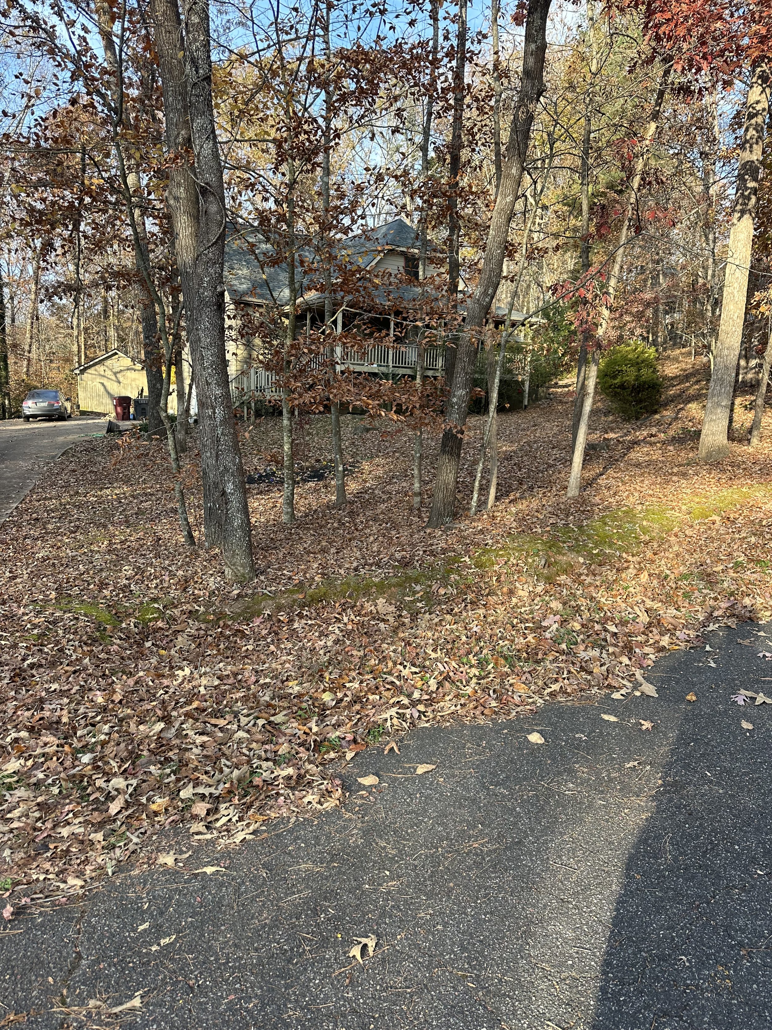 A house surrounded by trees with autumn leaves, a driveway with fallen leaves, and parked cars in the background.
Before