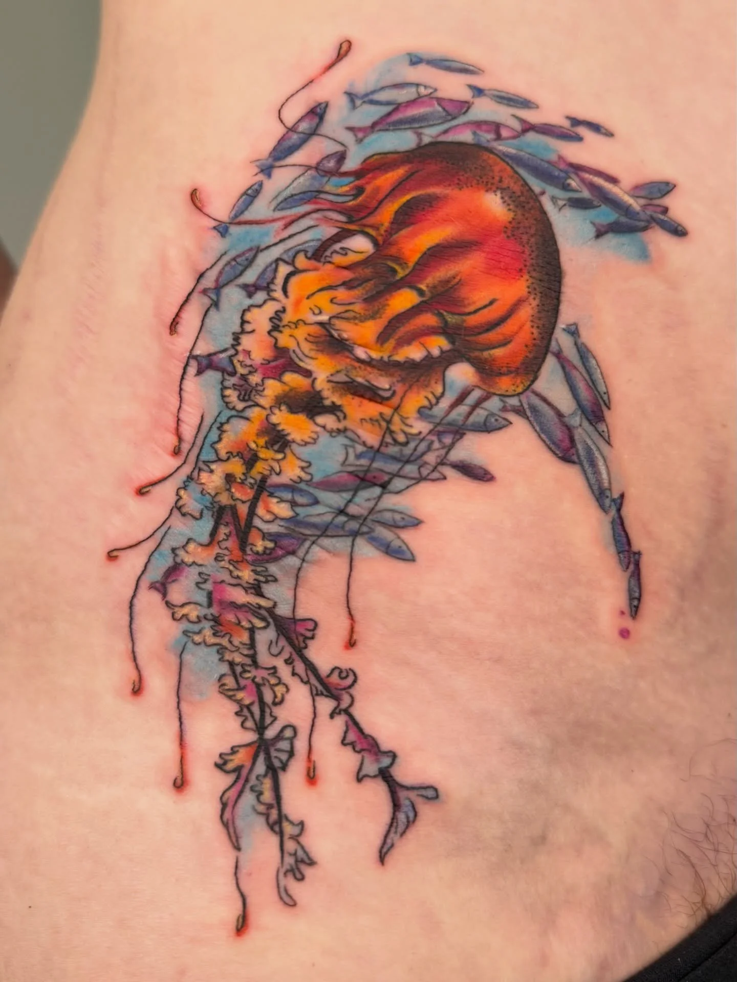 @evylovesrobots came back to get a &ldquo;matching&ldquo; sea creature friend for her manatee! We landed on a jellyfish swirling with a scoop of fishies this time. Swipe for a healed photo of the manatee on the opposite hip. Thank you so much Evy, yo