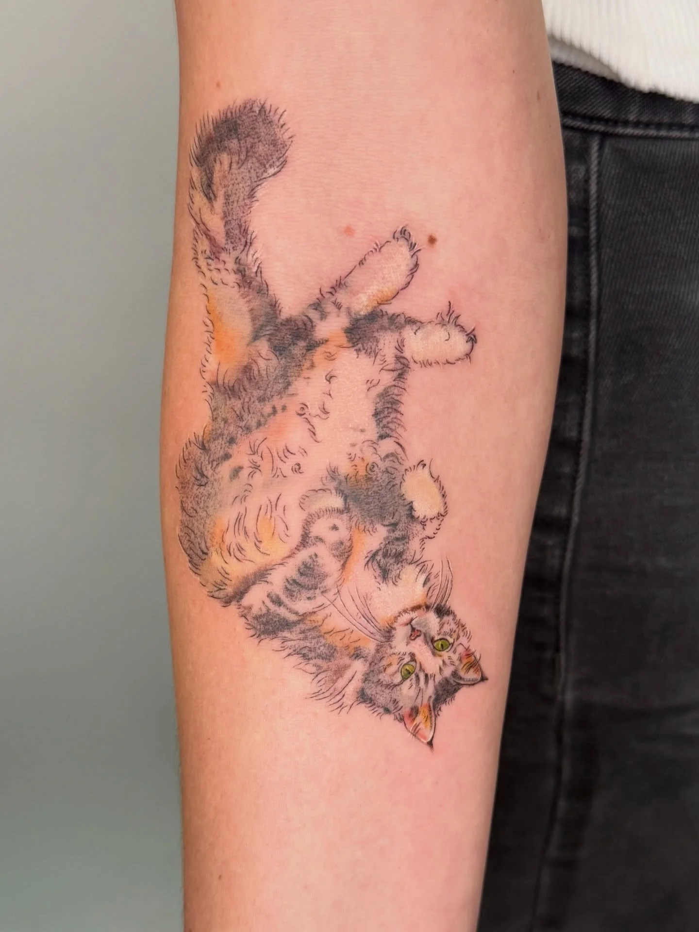 Some animal friends carry us through parts of our lives, becoming more to us than we ever imagined. Lauren chose to memorialize her beloved cat Jasper as her first tattoo, and I&rsquo;m so grateful she chose me for this project. 

I find pet portrait