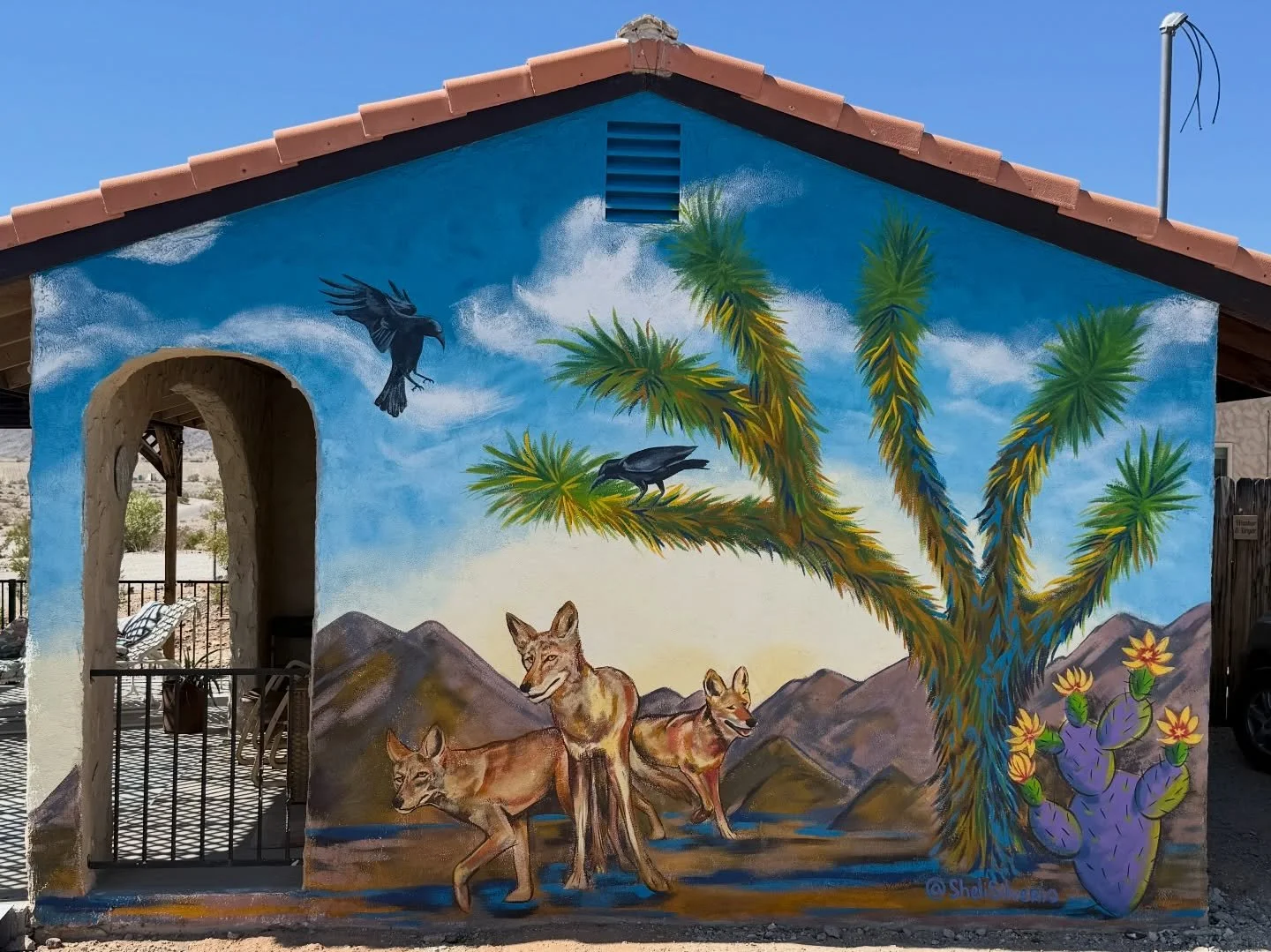 My first mural is now out in 29 palms at the Coyote Casita airbnb!  Thank you @maemarshlinda for the commission🤗
I would love to paint more walls 🥰 Let me know if you&rsquo;ve got one you want spruced up 😊