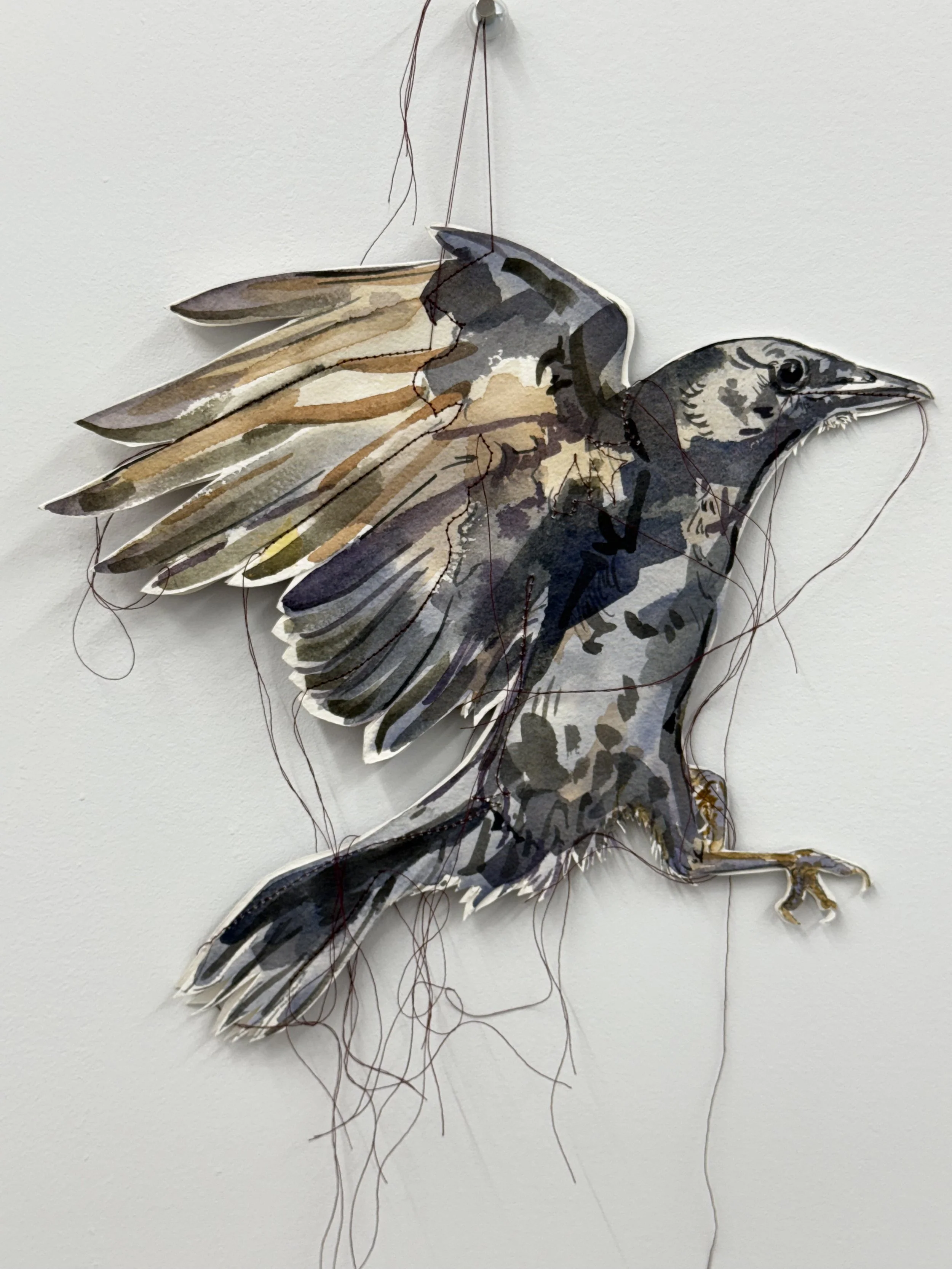 A mixed media art piece of a bird of prey, combining a tattoo-style illustration of a hawk with a paper cutout of the same hawk, decorated with fishing line.