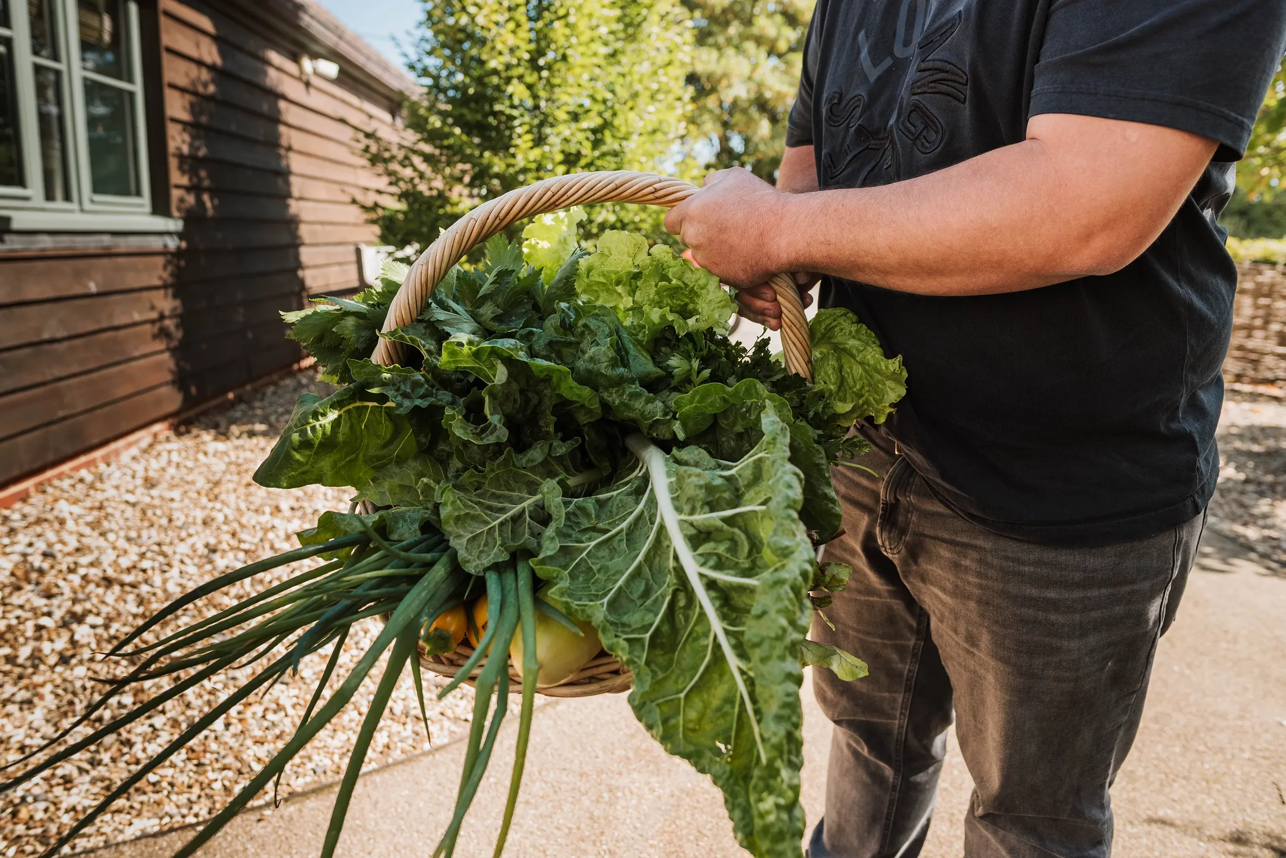 Person holding a basket filled with freshly harvested green leafy vegetables including lettuce, green onions, and swiss chard outdoors near a wooden house on a sunny day.