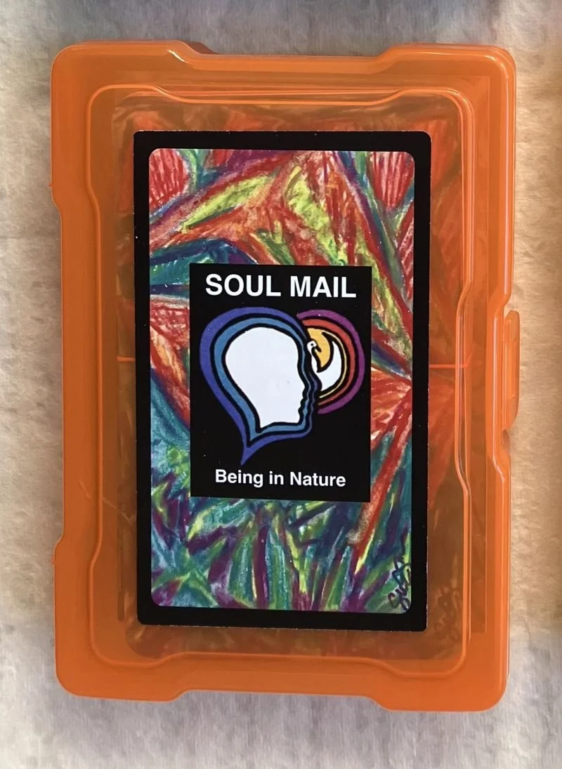 Being in Nature SOUL MAIL Box - orange .JPG