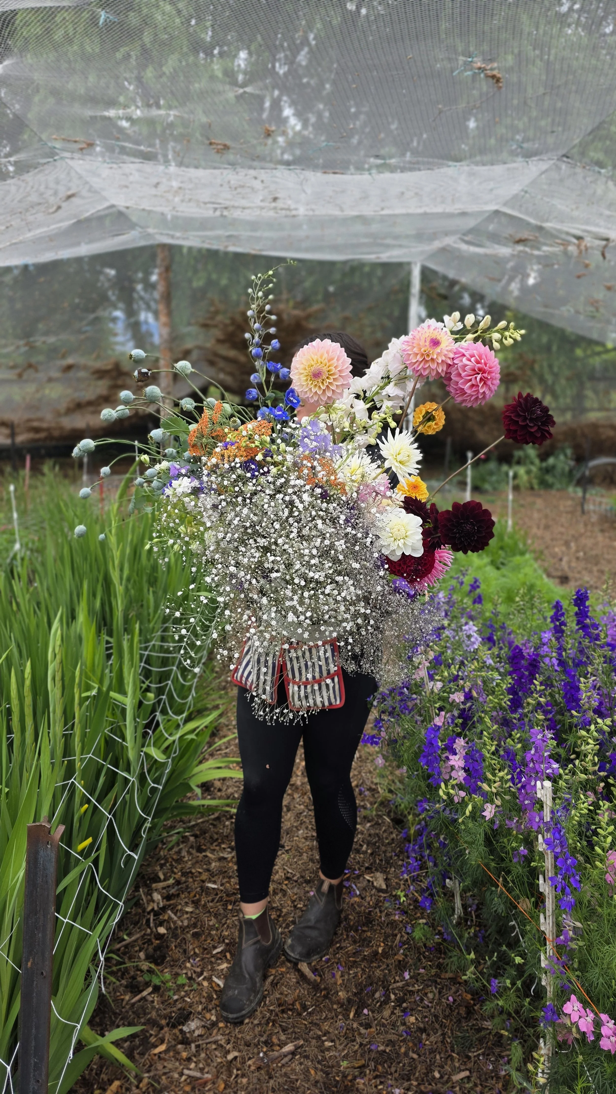 Person standing in a garden holding a large bouquet of mixed flowers, with purple and white flowers on their right and tall green plants on their left, and a protective net overhead.