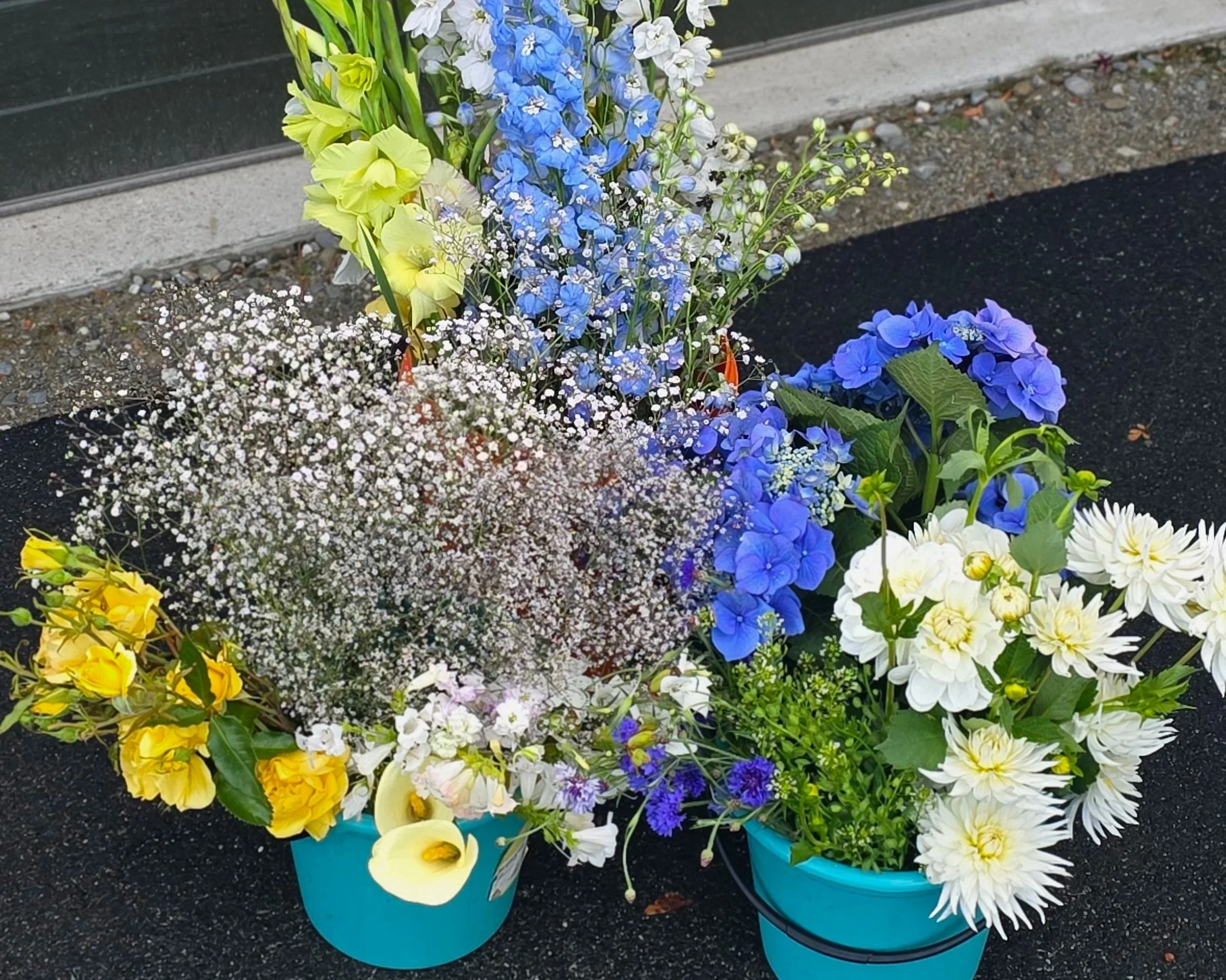 Colorful flower arrangements including yellow calla lilies, blue delphiniums, white baby's breath, and purple and white chrysanthemums in teal planters on a sidewalk.