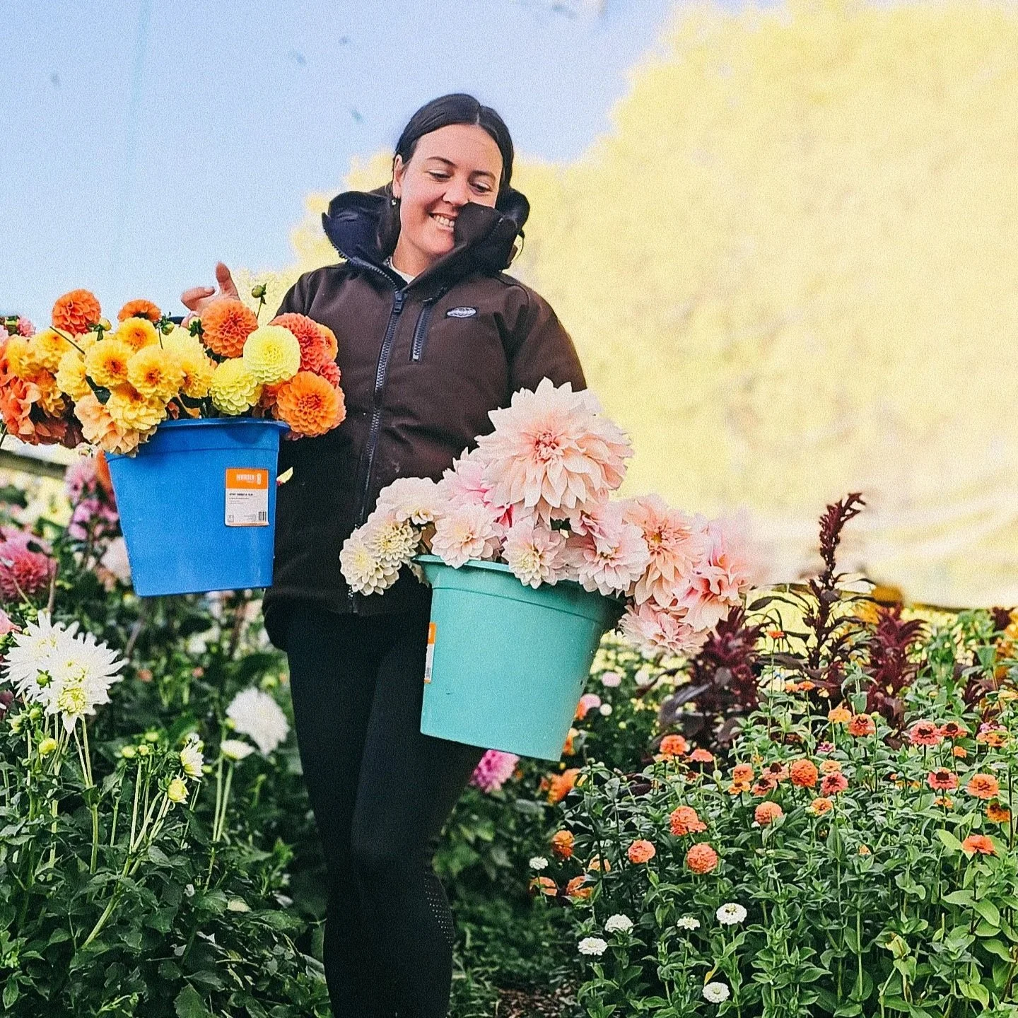 A woman holding two buckets filled with colorful flowers in a garden of various flowers.