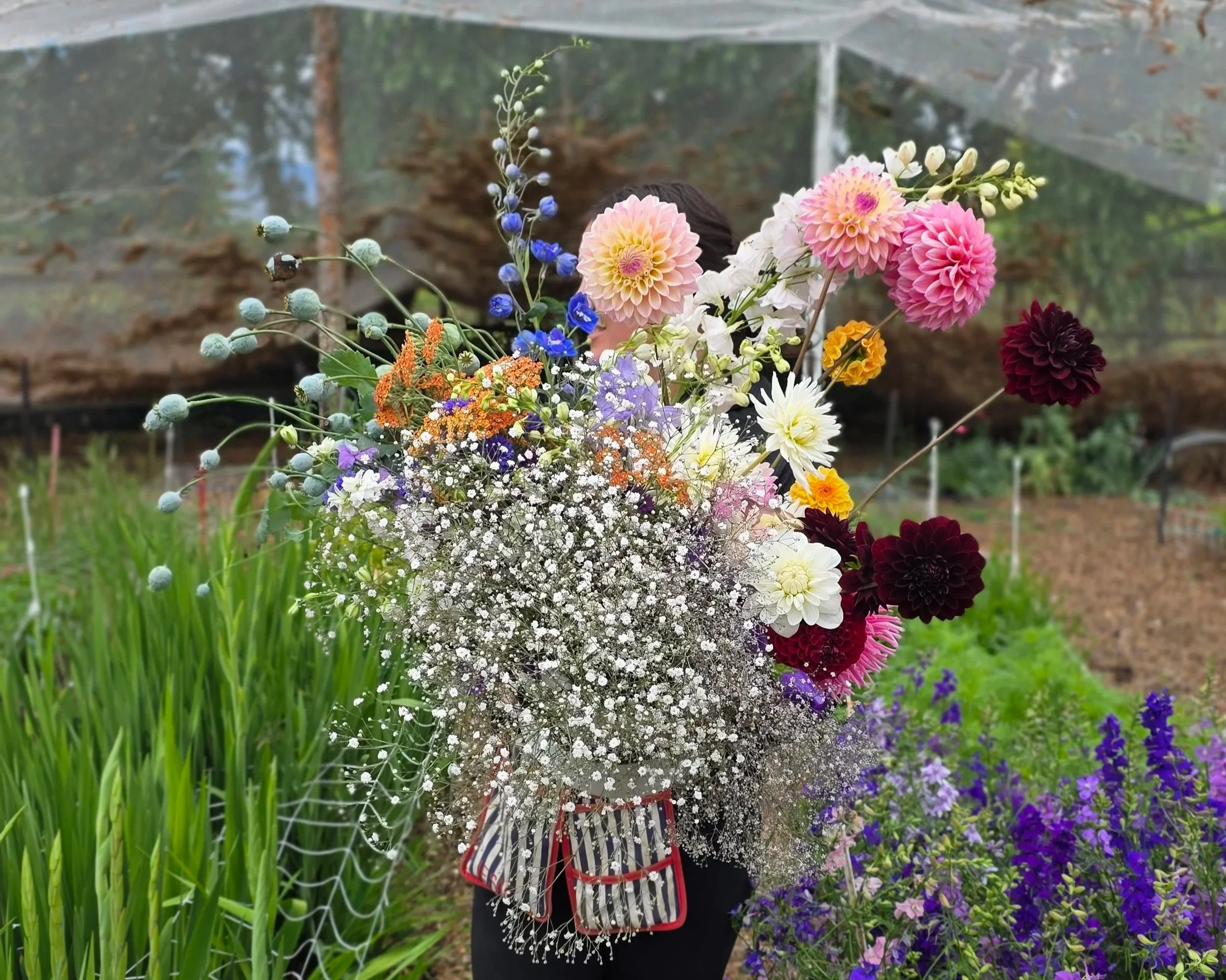 A person holding a large bouquet of various colorful flowers, partially obscured by plants, standing outdoors in front of a greenhouse or garden background.