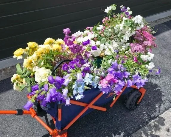 A blue and orange cart filled with a variety of colorful flowers including yellow, purple, white, and pink blooms, parked on a paved surface next to a dark green building.