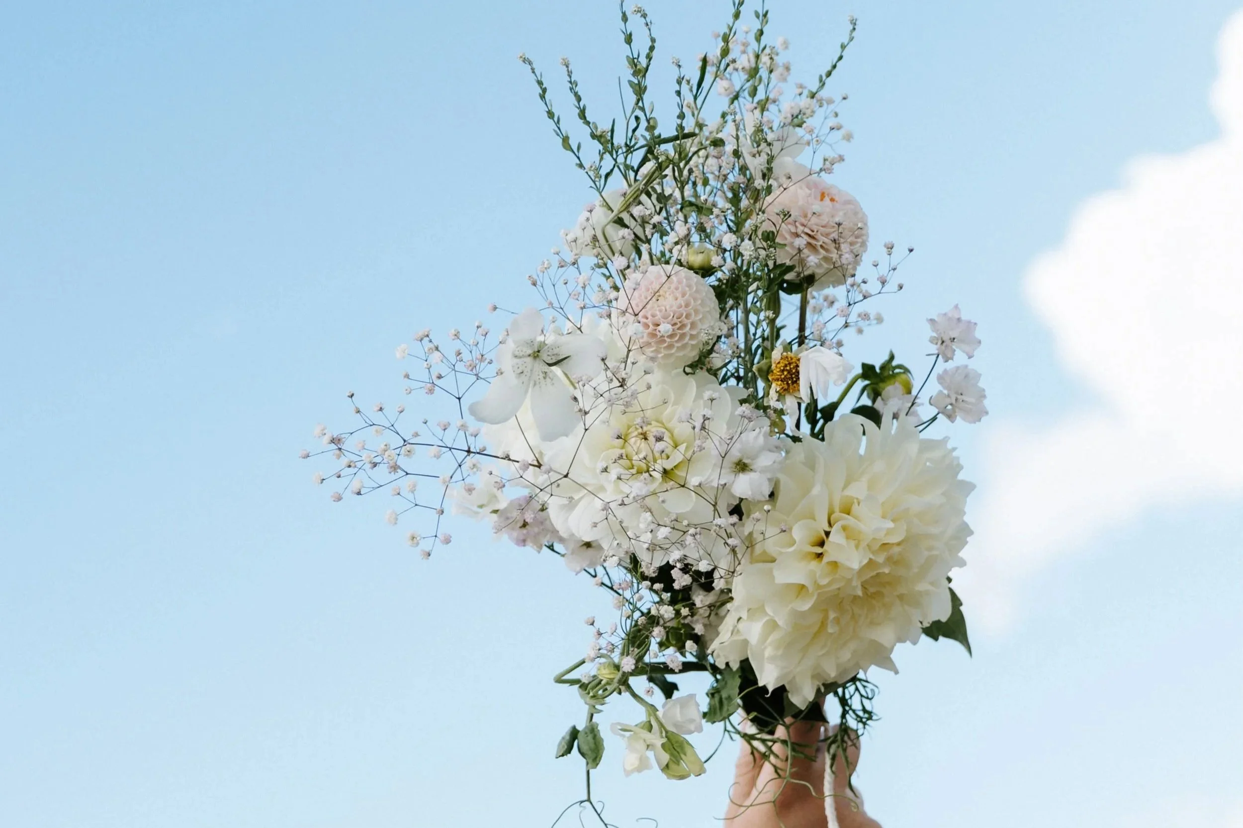 A person holding a bouquet of white and light pink flowers against a blue sky background.