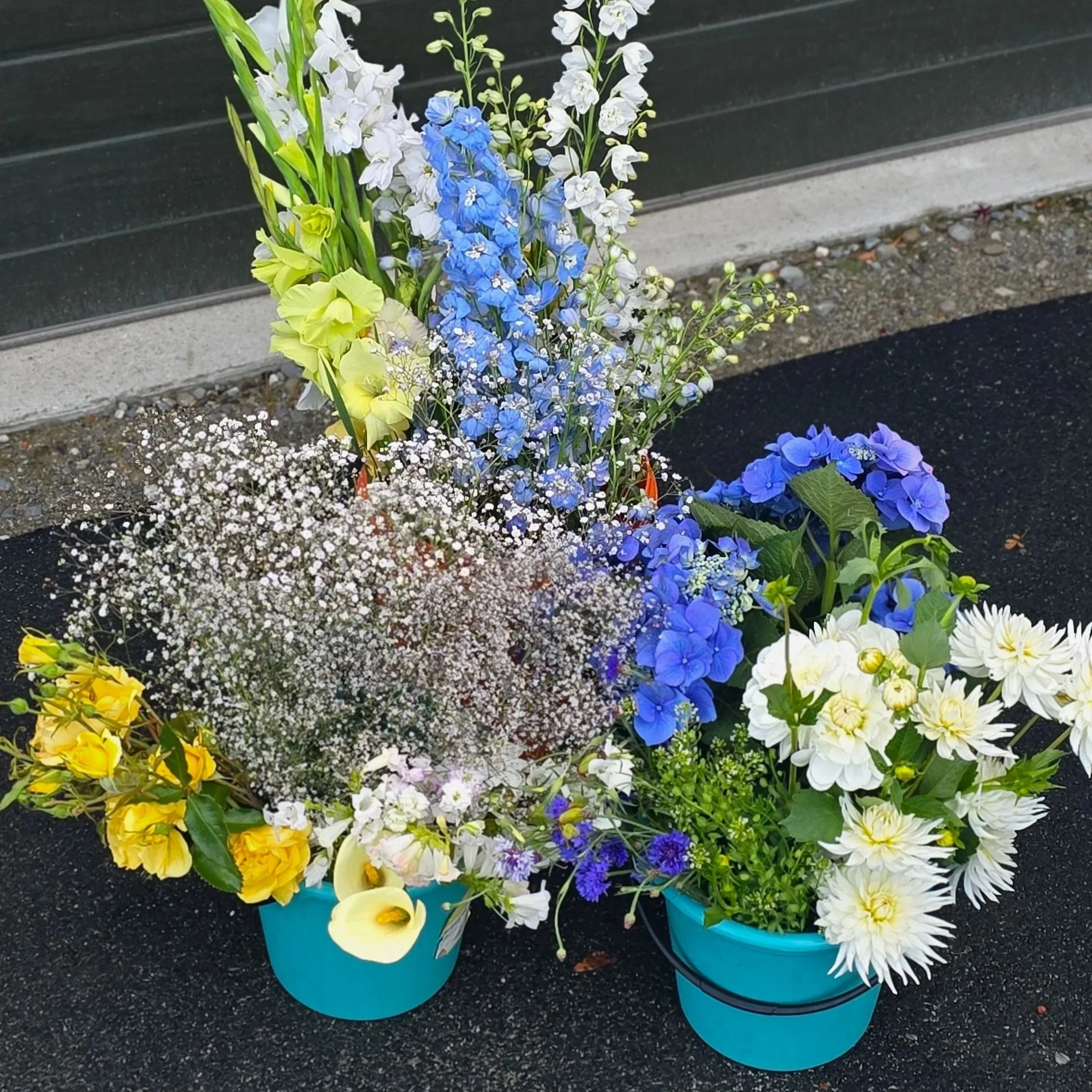 Colorful flower arrangements in blue planters on a black asphalt surface, with a black building wall in the background.