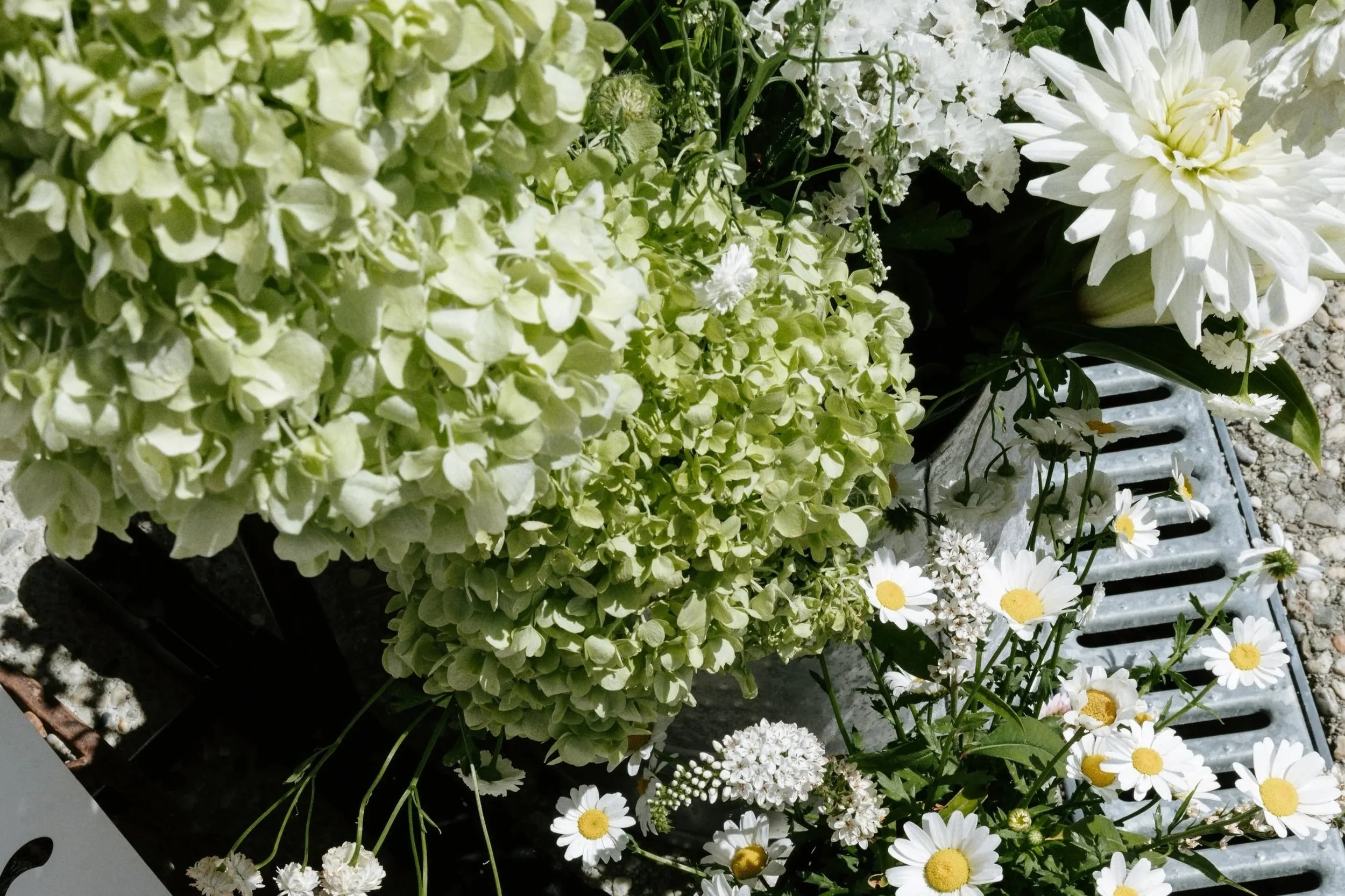 A variety of white and green flowers, including daisies and hydrangeas, arranged outdoors on a metal surface with gravel underneath.