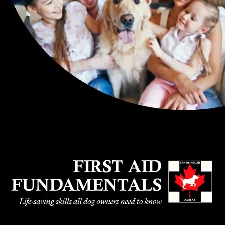Canine First Aid Fundamentals