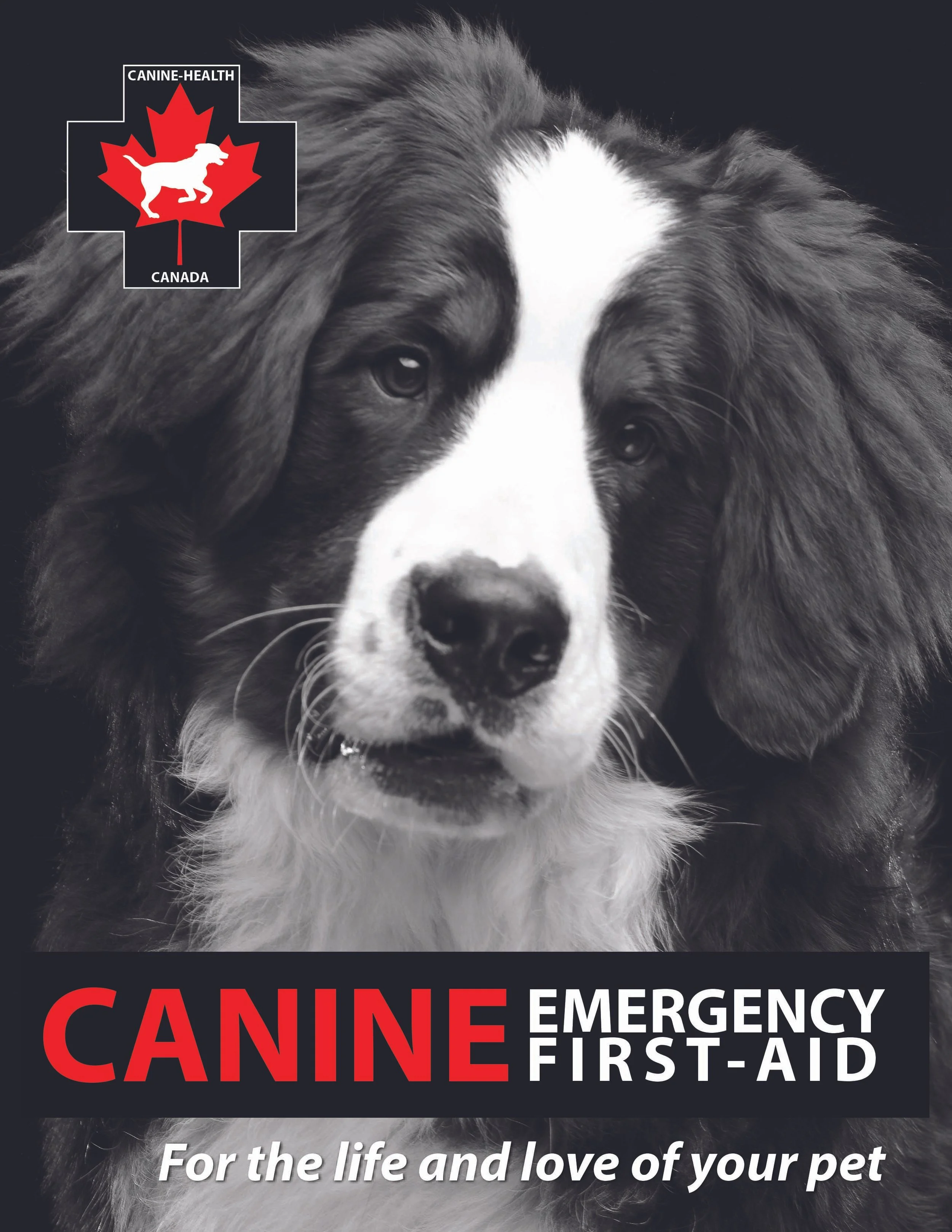 Canine Health & CPR - Emergency First Aid