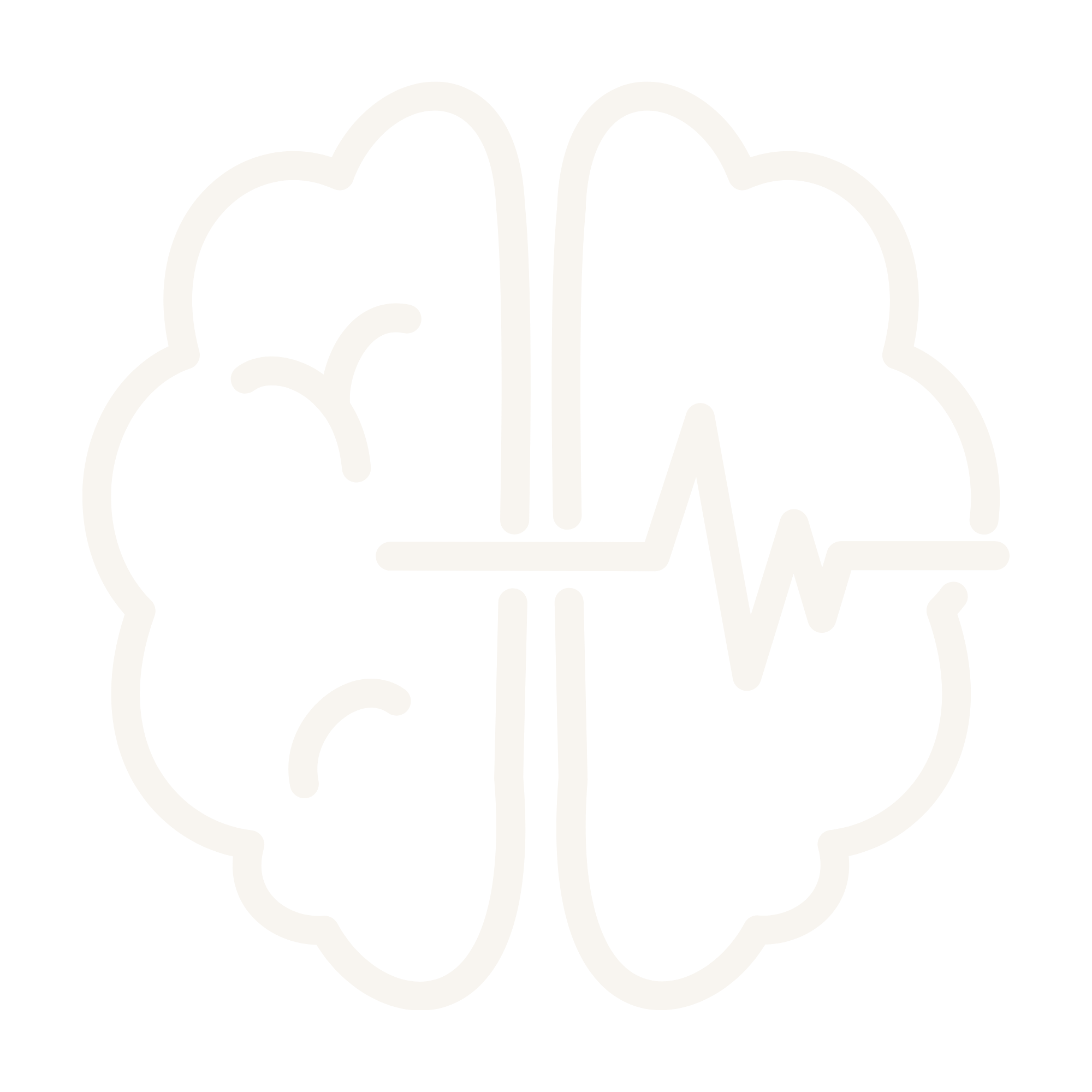 Nervous System Support