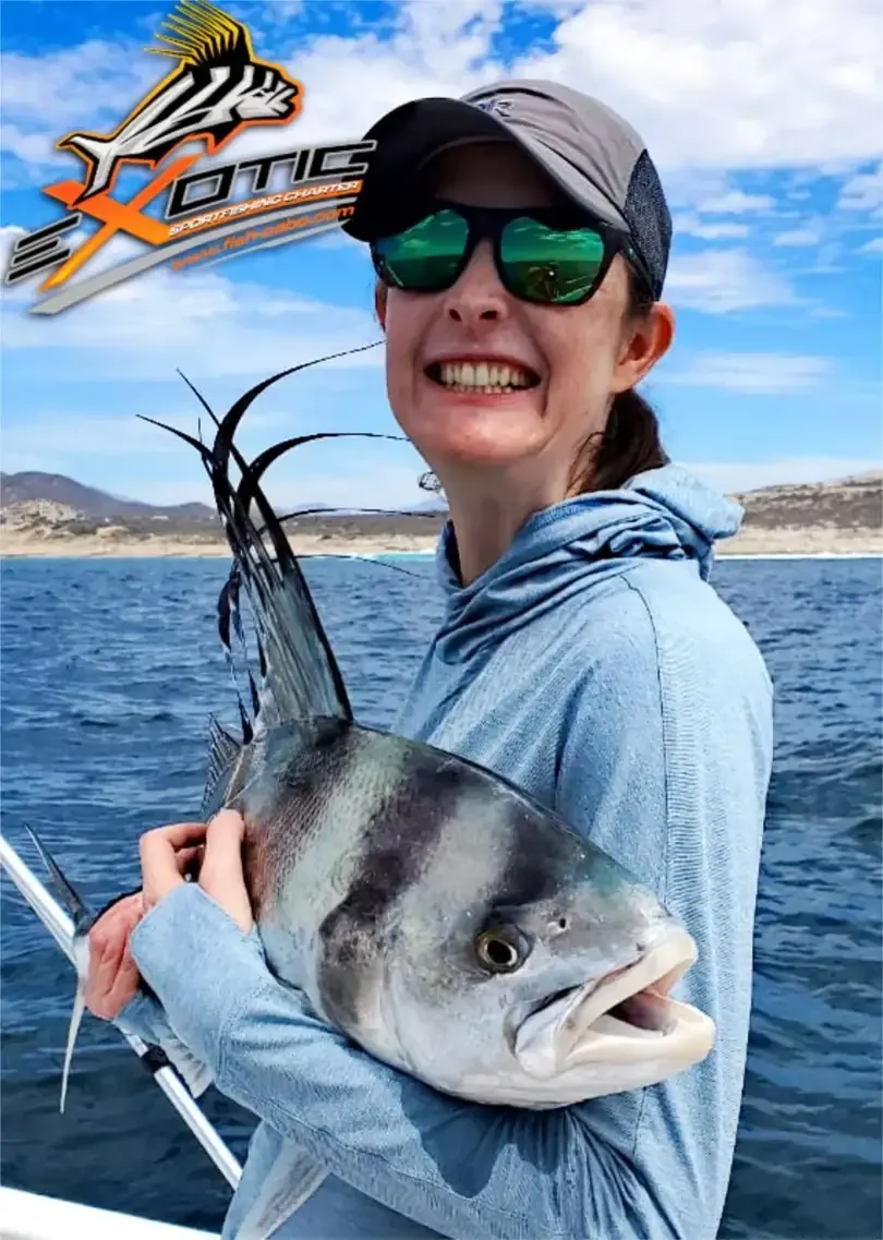 Rooster season is here !