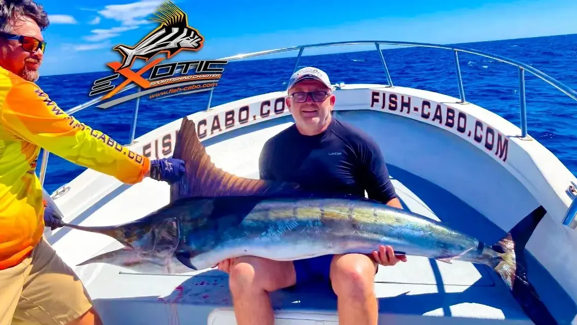 6 Marlins for the frenchy !!!