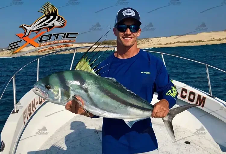 Last Rooster before August anual break